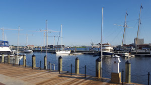 Virginia Marina Pier