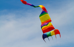 Washington Kite Festival