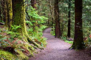 Lewis & Clark National Park