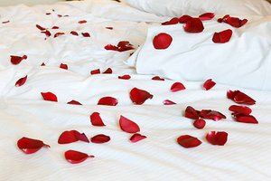 Rosepetal Turndown