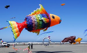 Kite Festival New