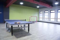 Games Room Ping Pong