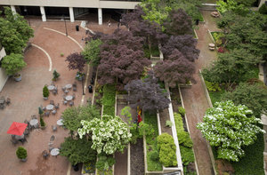 Courtyard