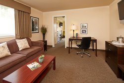 Sofa Sleeper Suite