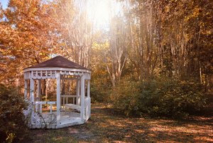 Outdoor Scenery With Hut