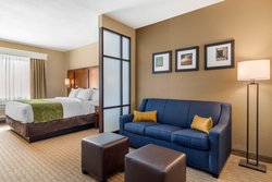 1 King Guest Room Sofa Bed