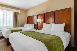 2 Queens, 1 Room Suite