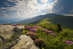 Mountains