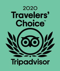 Tripadvisor Badge 2020