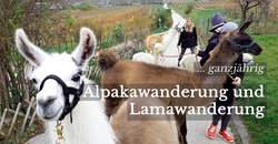 Alpaka & Lama Wanderung