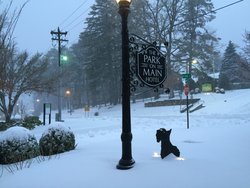 Park on Main Winter