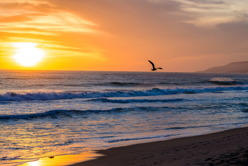 Zuma Beach in Malibu