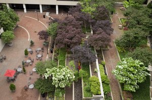 Our courtyard area is quiet and calming.