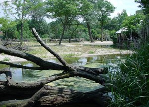 Brookfield Zoo