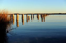 Chesapeake Bay