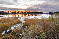 Chesapeake Bay