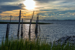 Chesapeake Bay