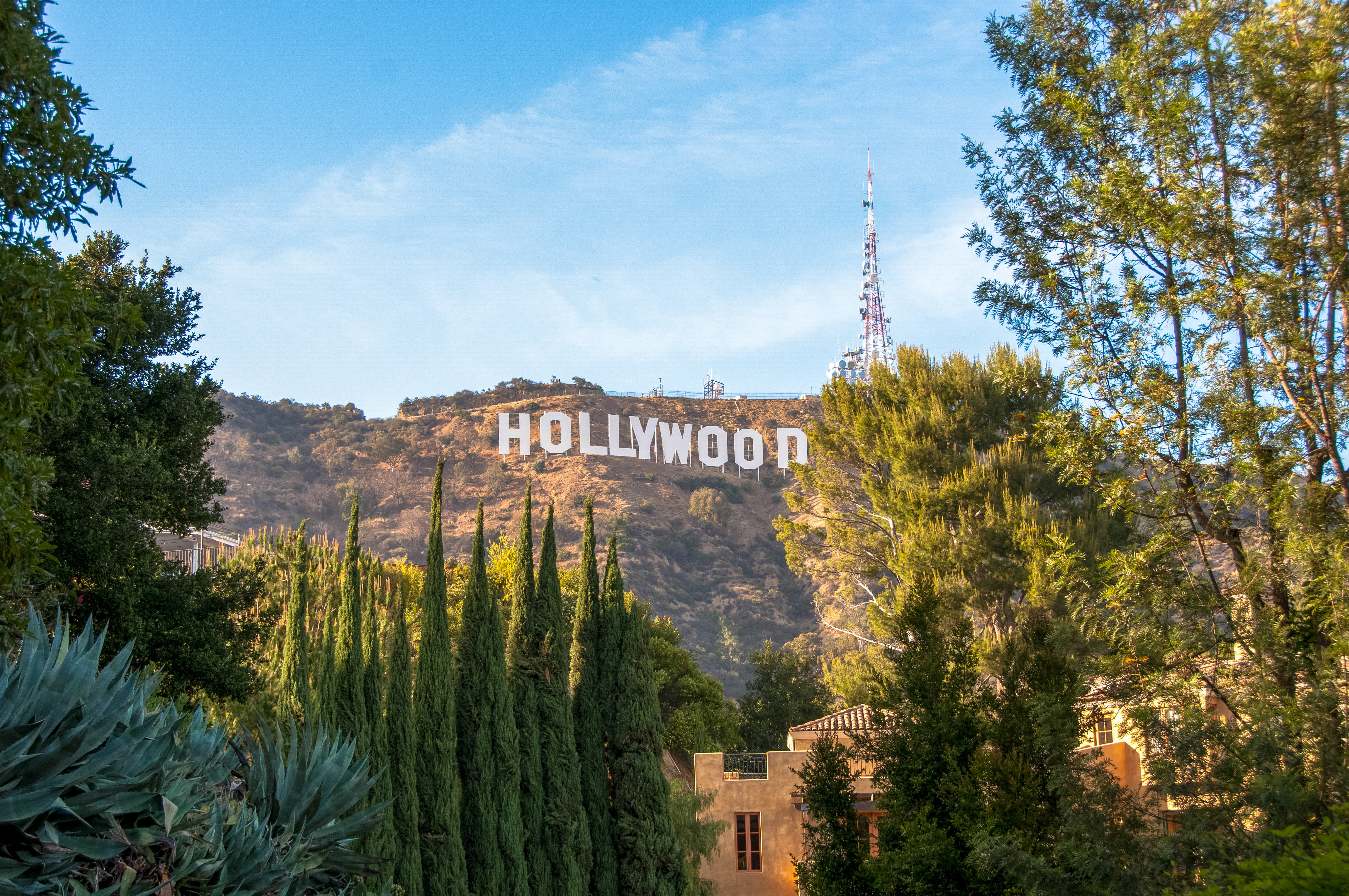 Hotel In Hollywood Los Angeles Ca The Hotel Hollywood