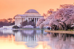 Jefferson Memorial