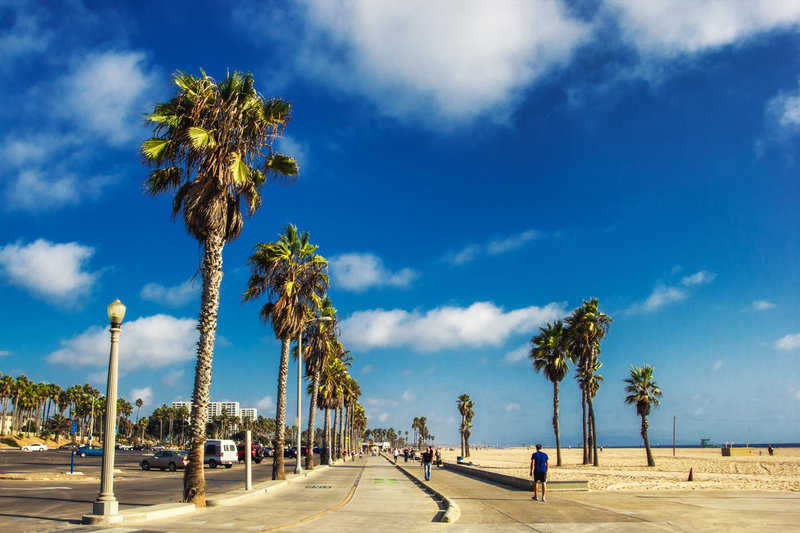 Things to do in Venice, CA and Beyond