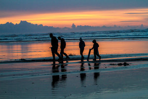 People Walking On Beach