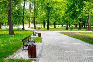 S Park And Benches