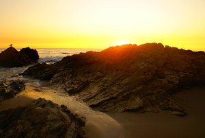 Crystal Cove State Park O