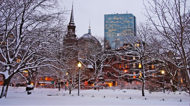The Prettiest Winter Parks In Boston