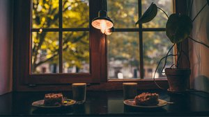 Our Top 5 Favorite Cozy Cafes in Boston